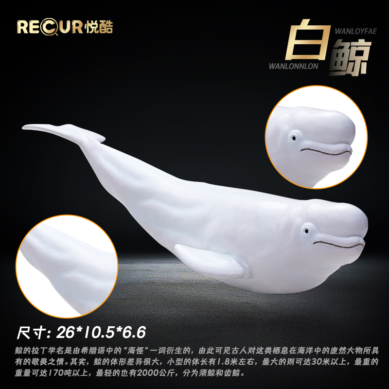 RECUR 벨루가 장난감 부드러운 접착제 어린이 시뮬레이션 바다 세계 동물 모델 플라스틱 생물 큰 고래 재현