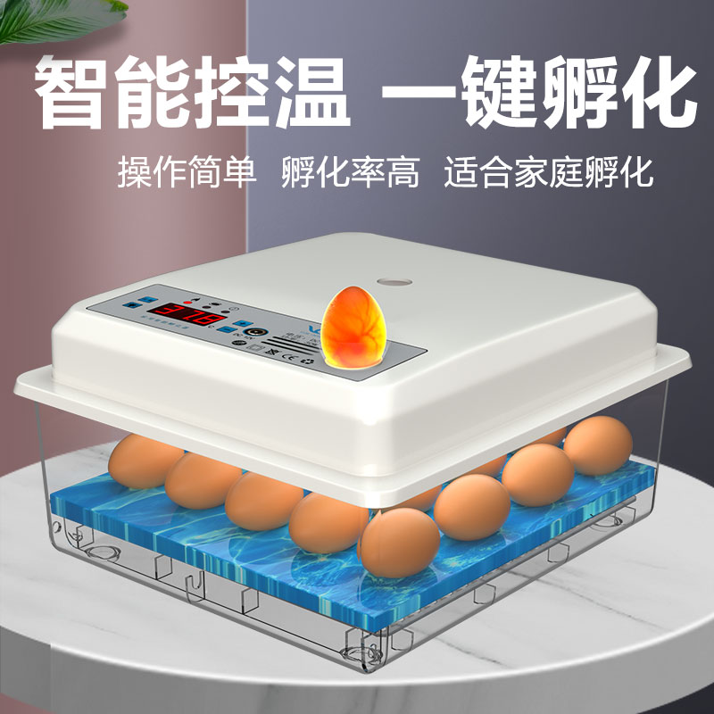 인큐베이터 소형 가정용 반자동 지능형 계란 병아리 루틴 치킨 부화기