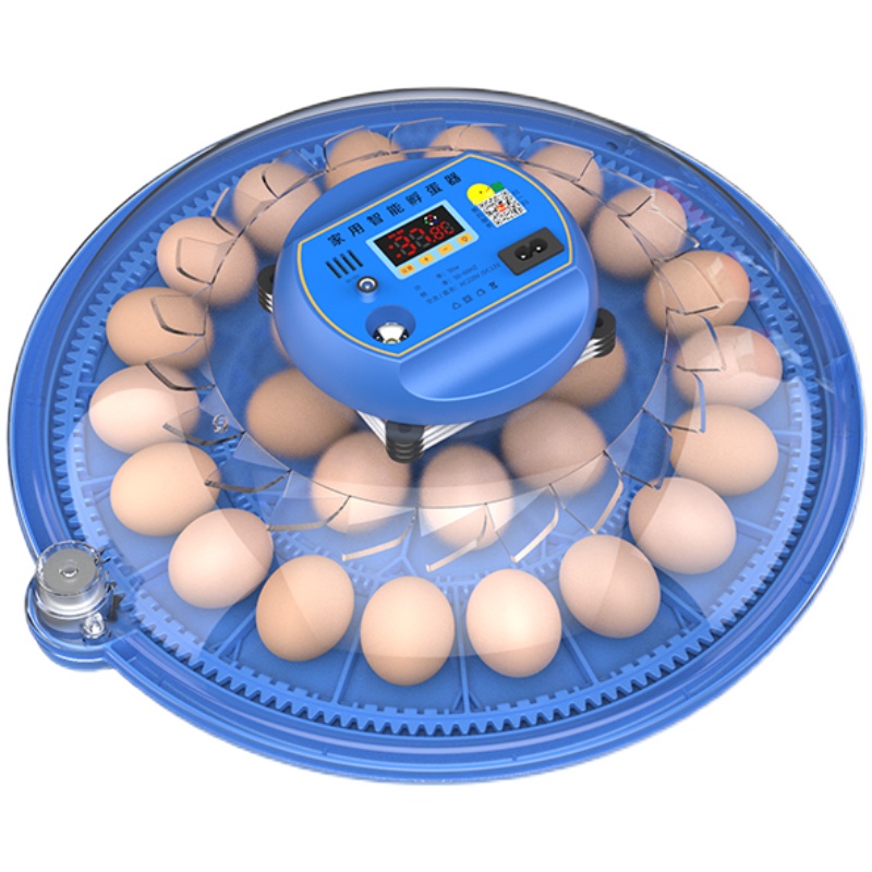 Weizhen 소형 비행 접시 인큐베이터 가정용 미니 지능형 자동 계란 루틴 치킨 부화 상자 부화기